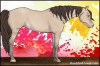 Horse Color:Amber Champagne Dun 