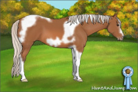 Horse Color:Silver Bay Tobiano Frame