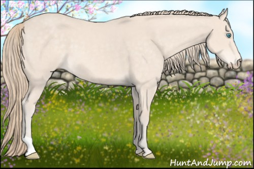 Horse Color: Perlino 