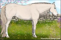 Horse Color:Perlino 