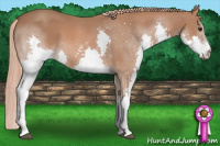 Horse Color:Chestnut Splash 
