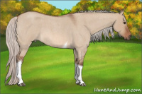 Horse Color:Silver Bay Roan Dun Tobiano 