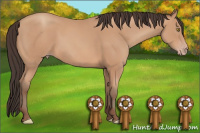 Horse Color:Amber Champagne 