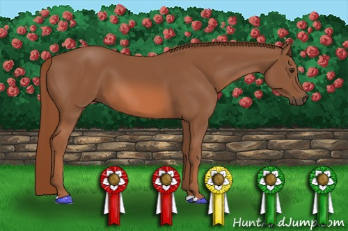 Horse Color: Liver Chestnut 