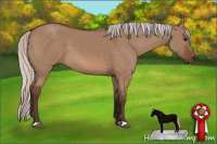 Horse Color:Silver Bay Dun