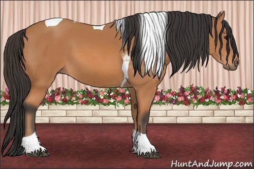 Horse Color: Bay Tobiano 