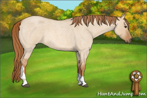 Horse Color: Red Dun Roan Tobiano 