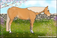 Horse Color:Palomino Tobiano 