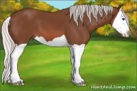 Horse Color:Silver Bay Splash 