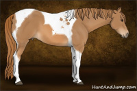 Horse Color:Chestnut Tobiano