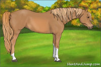 Horse Color:Chestnut Tobiano 