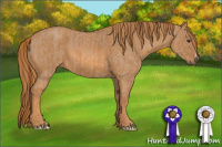 Horse Color:Red Dun  Brindle