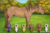 Horse Color:Bay Dun  Brindle