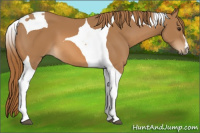 Horse Color:Chestnut Tobiano