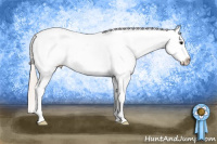 Horse Color:Silver Blue Roan Snowcap 