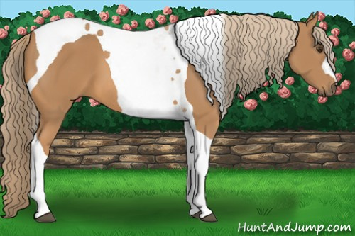 Horse Color: Chestnut Tobiano 