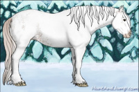 Horse Color:White Spotted Silver Bay 