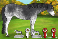 Horse Color:White Spotted Black 