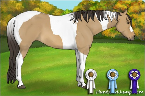 Horse Color: Buckskin Dun Tobiano 