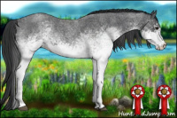 Horse Color:White Spotted Blue Roan 