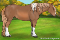 Horse Color:Chestnut Tobiano Frame