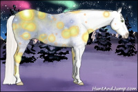 Horse Color:Silver Amber Champagne Roan Dun Splash Tobiano Frame Appaloosa Rabicano