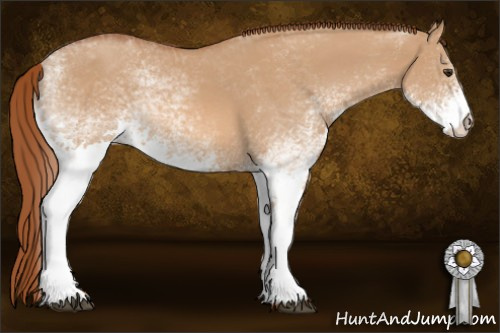 Horse Color: White Spotted Red Dun 
