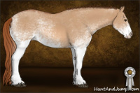 Horse Color:White Spotted Red Dun