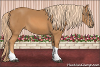 Horse Color:Chestnut Tobiano