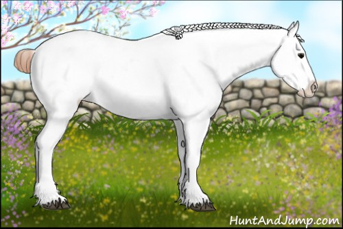 Horse Color: White Spotted Grullo Blanket 