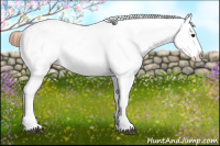 Horse Color:White Spotted Grullo Blanket 