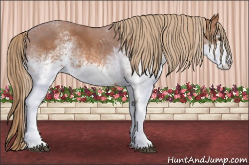 Horse Color: White Spotted Chestnut 