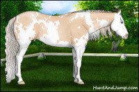 Horse Color:White Spotted Chocolate Palomino Pearl Splash 