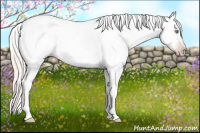 Horse Color:Gray Silver Amber Cream Champagne Roan Dun Splash Tobiano Frame Appaloosa Rabicano 