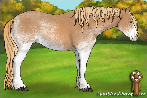 Horse Color: White Spotted Chestnut 