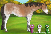 Horse Color:White Spotted Bay 