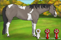 Horse Color:Grullo Splash Tobiano