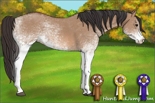 Horse Color: White Spotted Bay Dun 