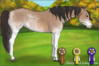 Horse Color:White Spotted Bay Dun