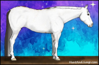 Horse Color:White Spotted Bay 