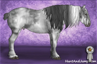 Horse Color:White Spotted Blue Roan Splash Frame Appaloosa