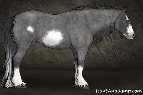 Horse Color: Blue Roan Splash Frame  Brindle