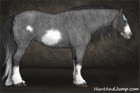 Horse Color:Blue Roan Splash Frame  Brindle