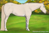 Horse Color:Smoky Creme Tobiano