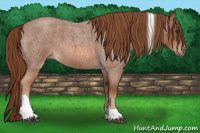 Horse Color:Red Roan Tobiano 