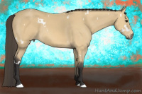Horse Color:White Spotted Buckskin 