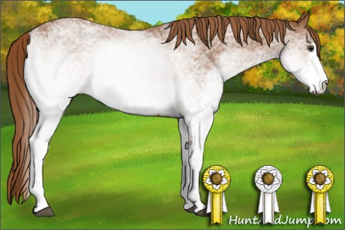 Horse Color: White Spotted Chestnut 