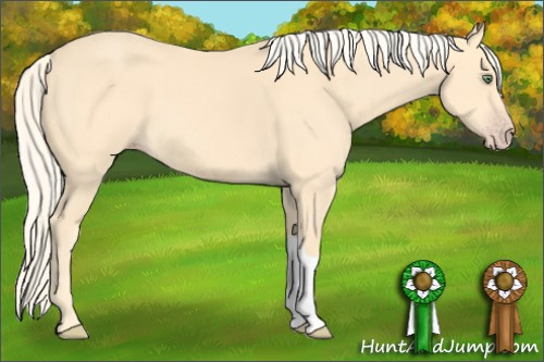 Horse Color: Gold Cream Champagne 
