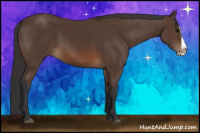 Horse Color:Brown Splash 