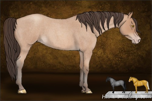 Horse Color: Amber Champagne Roan 